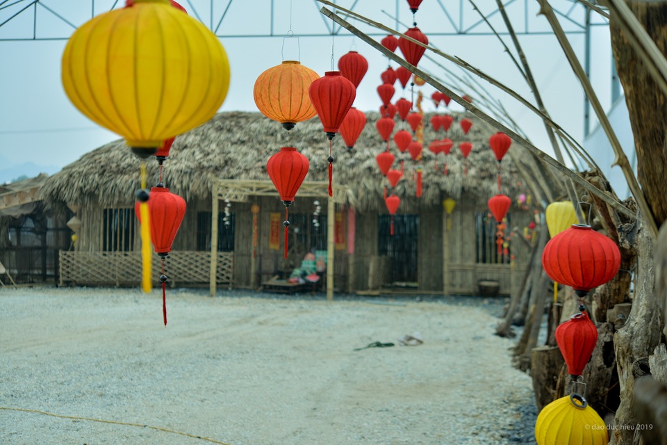 Hàng trăm loại hoa khoe sắc tại lễ hội Xuân Bái Đính - 10 Hàng trăm loại hoa khoe sắc tại lễ hội Xuân Bái Đính - 10