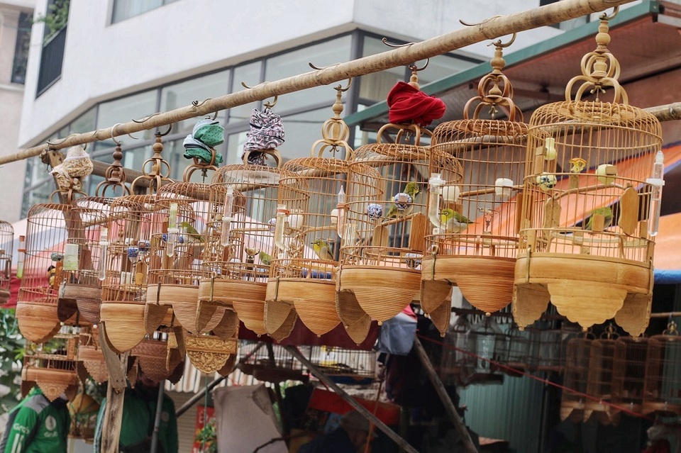 Khám phá chợ chim độc đáo, lớn nhất Hà Nội ngày cuối năm - 1 Khám phá chợ chim độc đáo, lớn nhất Hà Nội ngày cuối năm - 1
