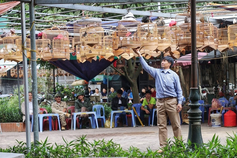 Khám phá chợ chim độc đáo, lớn nhất Hà Nội ngày cuối năm - 13 Khám phá chợ chim độc đáo, lớn nhất Hà Nội ngày cuối năm - 13