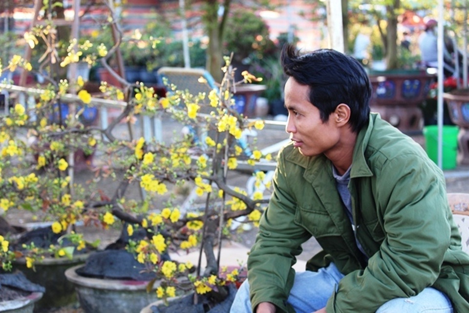 Nhà vườn chăm mai “dở khóc, dở cười” vì thời tết “bất thường” khiến mai nở sớm - 4 Nhà vườn chăm mai “dở khóc, dở cười” vì thời tết “bất thường” khiến mai nở sớm - 4