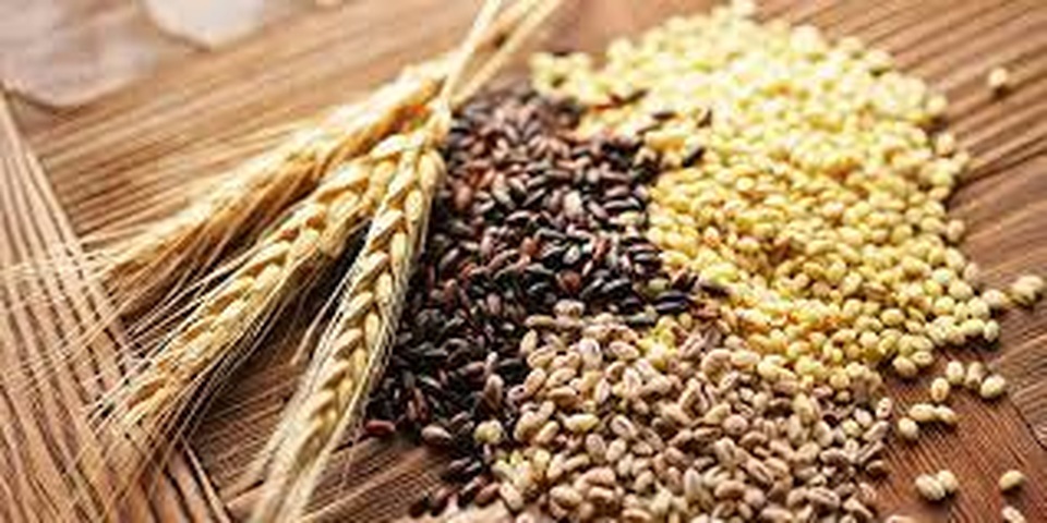 Dễ dàng chọn ra phần ăn sức khỏe - 4 Dễ dàng chọn ra phần ăn sức khỏe - 4