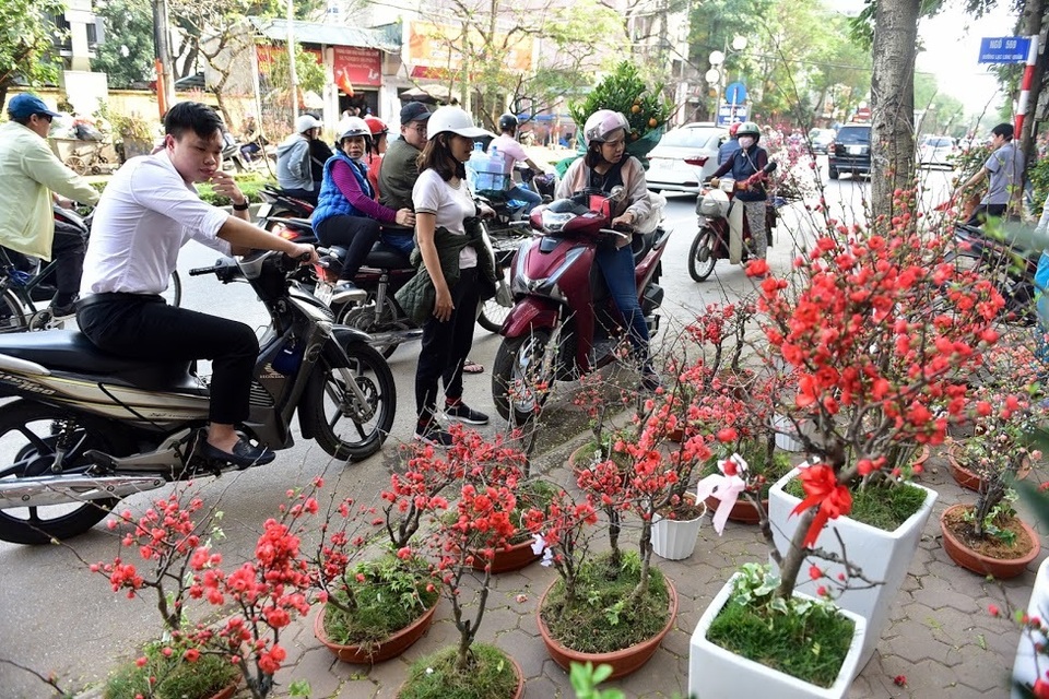 Mai đỏ Trung Quốc để mấy tháng không tàn đổ bộ “thủ phủ” đào Việt - 15 Mai đỏ Trung Quốc để mấy tháng không tàn đổ bộ “thủ phủ” đào Việt - 15