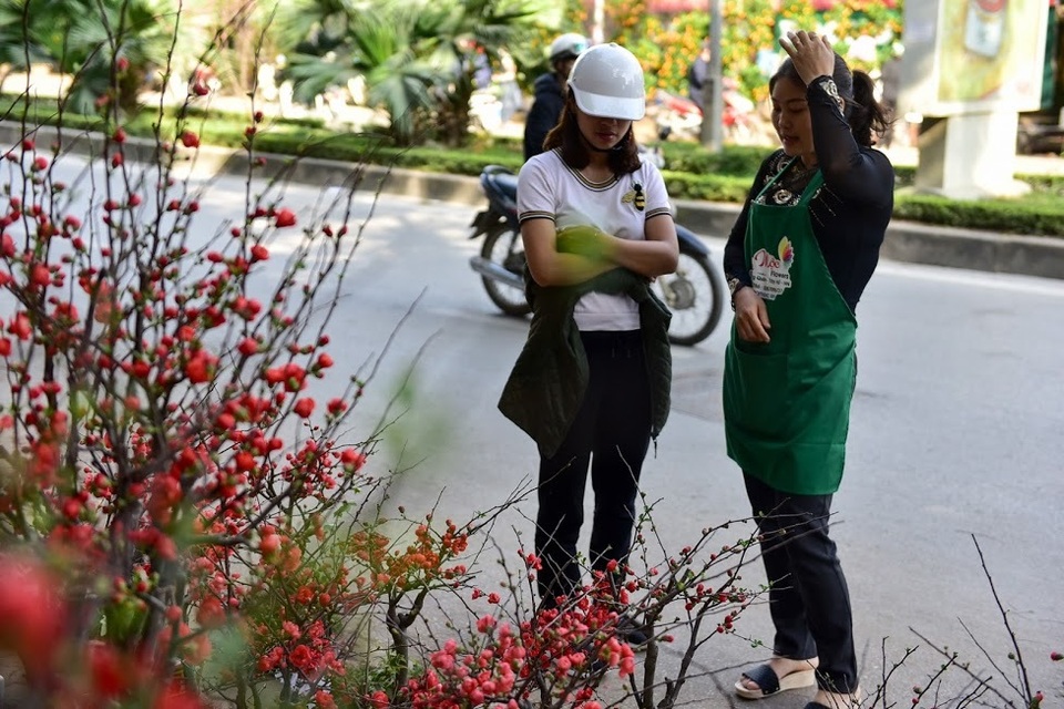 Mai đỏ Trung Quốc để mấy tháng không tàn đổ bộ “thủ phủ” đào Việt - 13 Mai đỏ Trung Quốc để mấy tháng không tàn đổ bộ “thủ phủ” đào Việt - 13