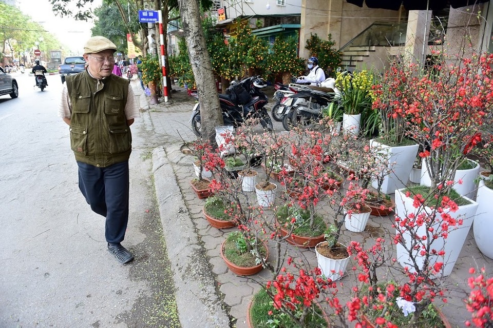Mai đỏ Trung Quốc để mấy tháng không tàn đổ bộ “thủ phủ” đào Việt - 14 Mai đỏ Trung Quốc để mấy tháng không tàn đổ bộ “thủ phủ” đào Việt - 14