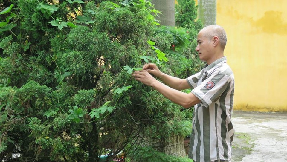 Nỗi niềm nam phạm nhân 45 tuổi lỡ tay thiêu chết vợ hờ - 1