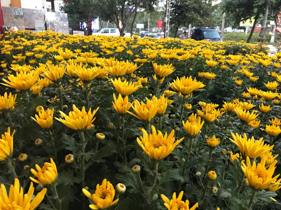 sx18.jpg sx18.jpg