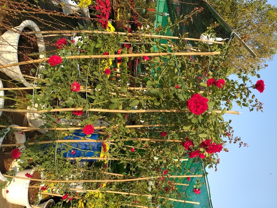 20190130_075447.jpg 20190130_075447.jpg