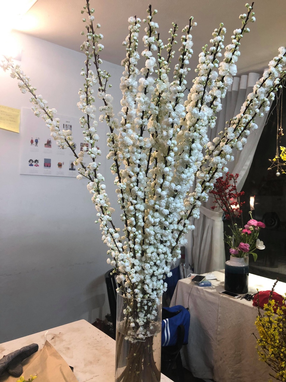 Dân Việt tranh nhau chi chục triệu đồng rước đào trắng Hà Lan chơi Tết - 3 Dân Việt tranh nhau chi chục triệu đồng rước đào trắng Hà Lan chơi Tết - 3