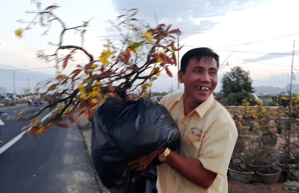 Chưa đến Tết, người trồng mai đã đưa mai về vườn… cất! - 7 Chưa đến Tết, người trồng mai đã đưa mai về vườn… cất! - 7