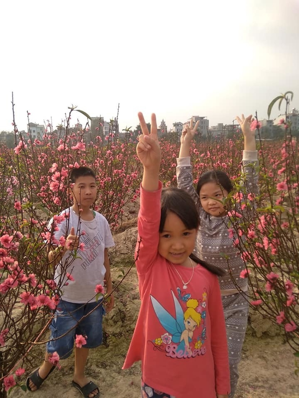 di choi vuon dao ngay Tet.jpg di choi vuon dao ngay Tet.jpg