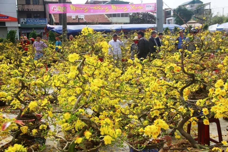 Người dân Quảng Trị hối hả mang hương Tết về nhà - 15 Người dân Quảng Trị hối hả mang hương Tết về nhà - 15
