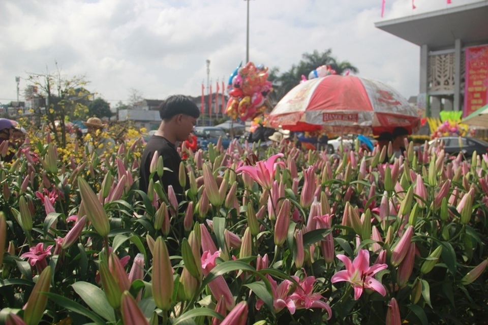 Người dân Quảng Trị hối hả mang hương Tết về nhà - 16 Người dân Quảng Trị hối hả mang hương Tết về nhà - 16