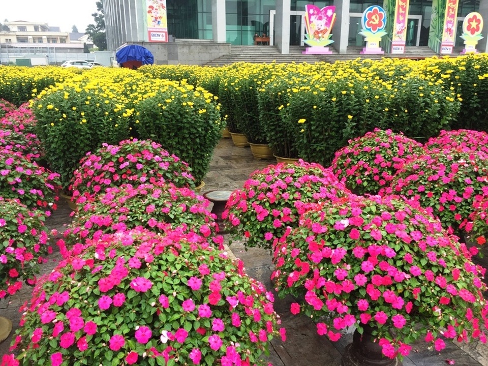 Người dân Quảng Trị hối hả mang hương Tết về nhà - 8 Người dân Quảng Trị hối hả mang hương Tết về nhà - 8