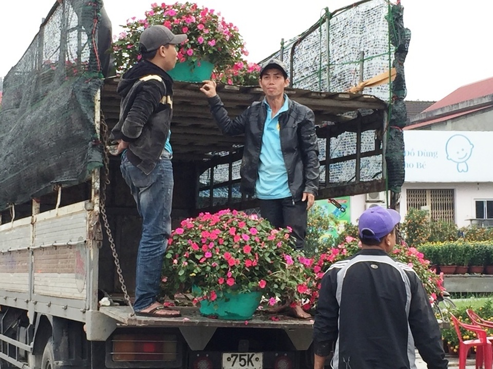 Người dân Quảng Trị hối hả mang hương Tết về nhà - 7 Người dân Quảng Trị hối hả mang hương Tết về nhà - 7
