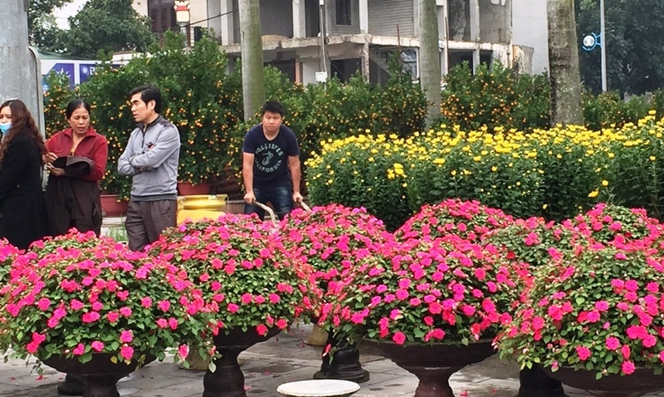 Người dân Quảng Trị hối hả mang hương Tết về nhà - 12 Người dân Quảng Trị hối hả mang hương Tết về nhà - 12