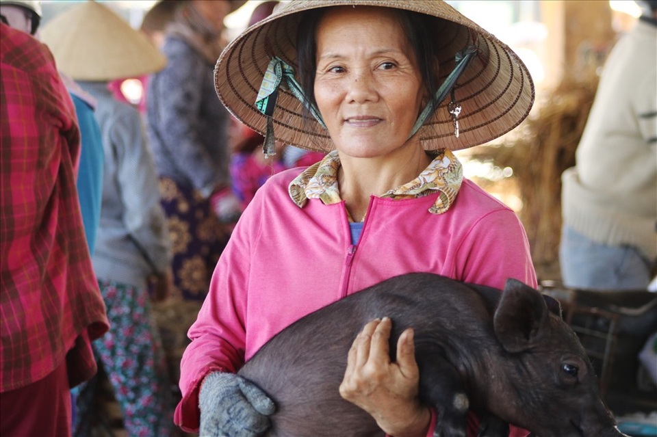 Nghề... bồng heo - 1 Nghề... bồng heo - 1