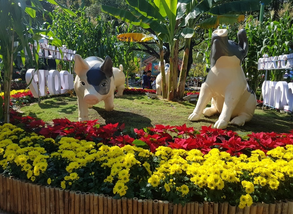 Nha Trang: Trăm hoa khoe sắc bên bờ biển, người người háo hức du xuân - 4 Nha Trang: Trăm hoa khoe sắc bên bờ biển, người người háo hức du xuân - 4
