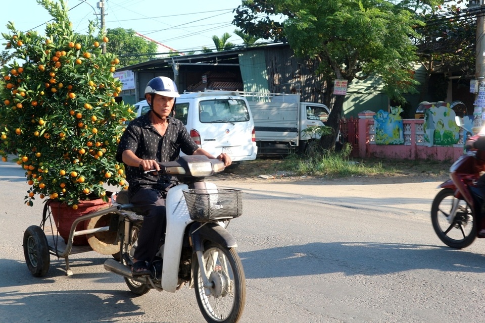 Hốt bạc những dịch vụ ngày Tết Hốt bạc những dịch vụ ngày Tết