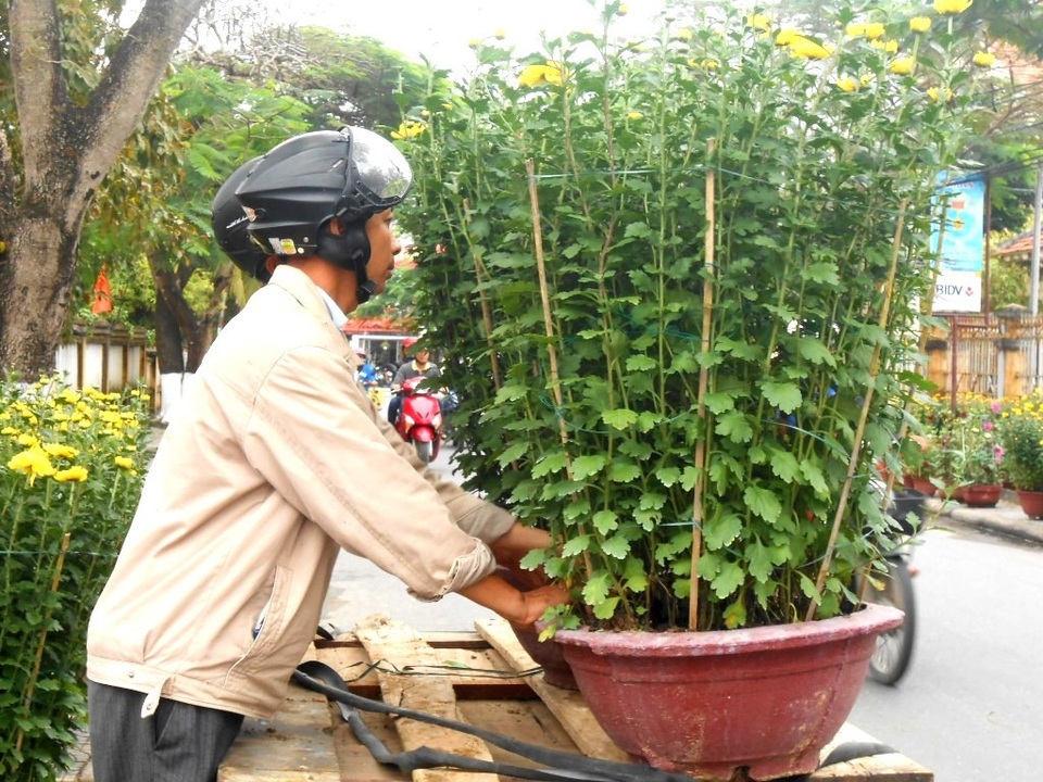 Hốt bạc những dịch vụ ngày Tết Hốt bạc những dịch vụ ngày Tết