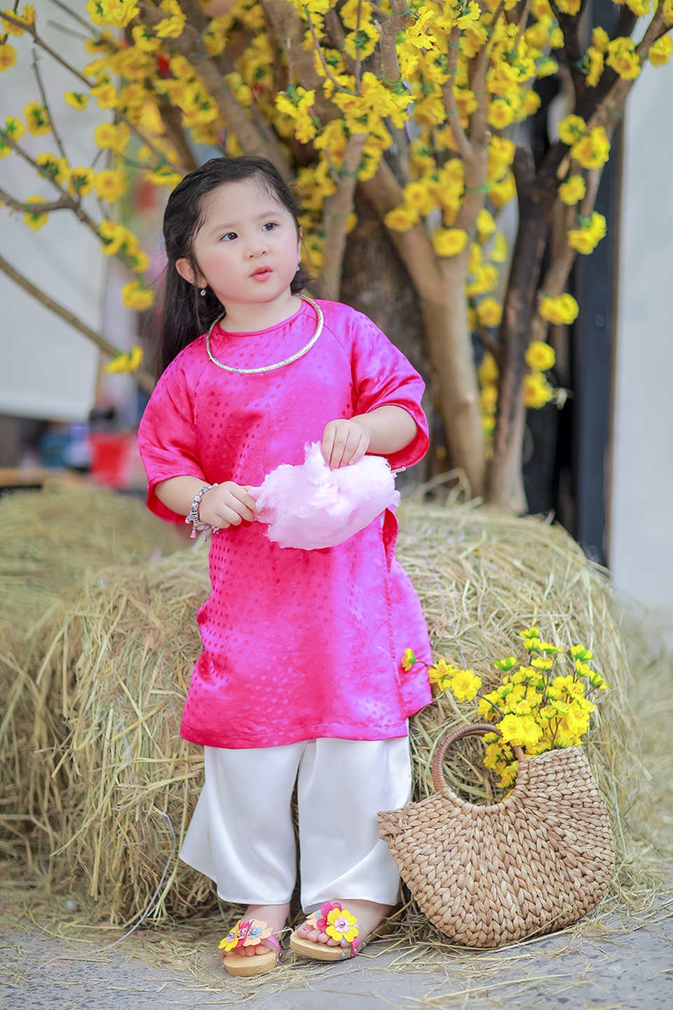 Du xuân Kỷ Hợi ở thành phố mang tên Bác cùng cô bé Mimi đáng yêu - 3 Du xuân Kỷ Hợi ở thành phố mang tên Bác cùng cô bé Mimi đáng yêu - 3