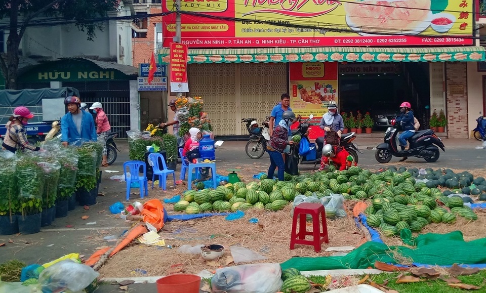 Hoa kiểng Cần Thơ vừa đủ bán, không dư, không phải chặt bỏ - 11 Hoa kiểng Cần Thơ vừa đủ bán, không dư, không phải chặt bỏ - 11