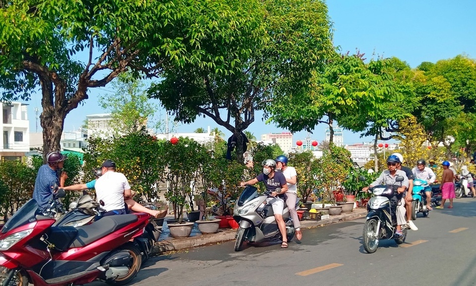 Hoa kiểng Cần Thơ vừa đủ bán, không dư, không phải chặt bỏ - 8 Hoa kiểng Cần Thơ vừa đủ bán, không dư, không phải chặt bỏ - 8