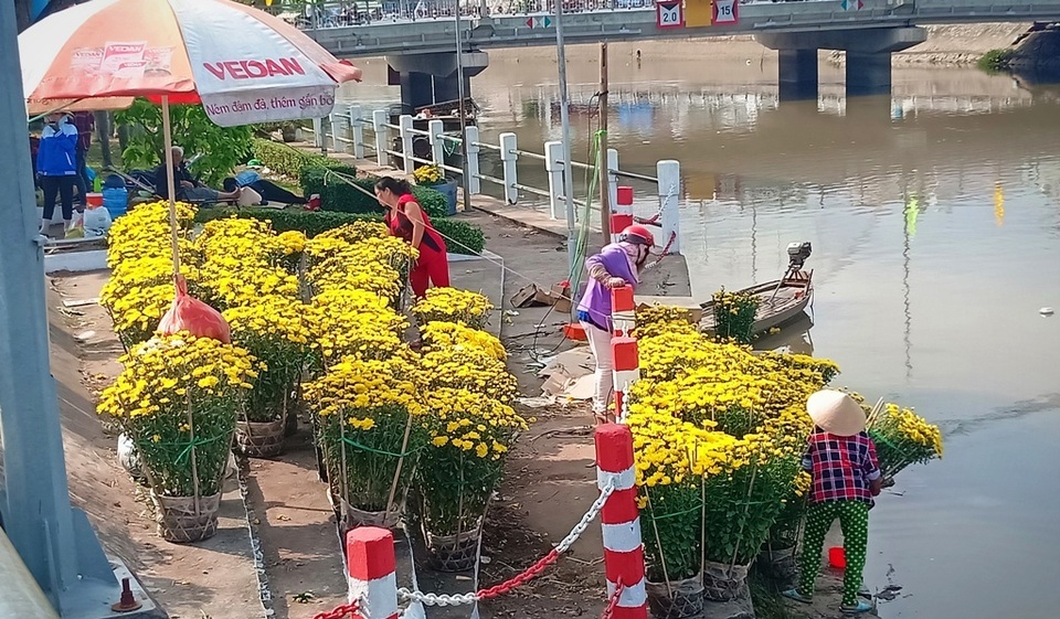 Hoa kiểng Cần Thơ vừa đủ bán, không dư, không phải chặt bỏ - 10 Hoa kiểng Cần Thơ vừa đủ bán, không dư, không phải chặt bỏ - 10