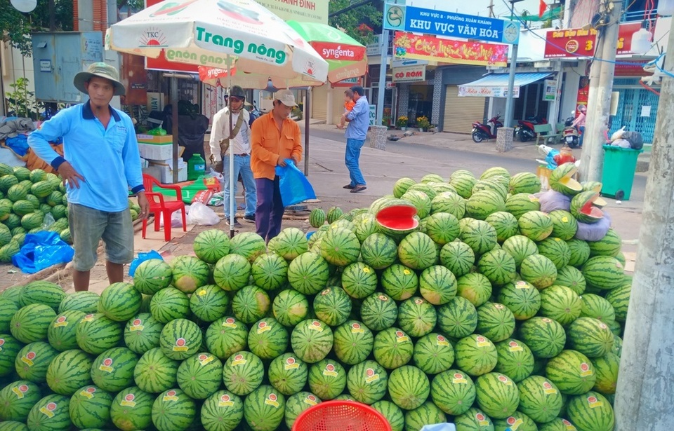 Hoa kiểng Cần Thơ vừa đủ bán, không dư, không phải chặt bỏ - 12 Hoa kiểng Cần Thơ vừa đủ bán, không dư, không phải chặt bỏ - 12