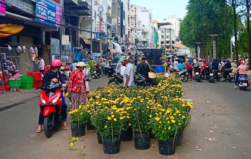 Hoa kiểng Cần Thơ vừa đủ bán, không dư, không phải chặt bỏ - 1 Hoa kiểng Cần Thơ vừa đủ bán, không dư, không phải chặt bỏ - 1