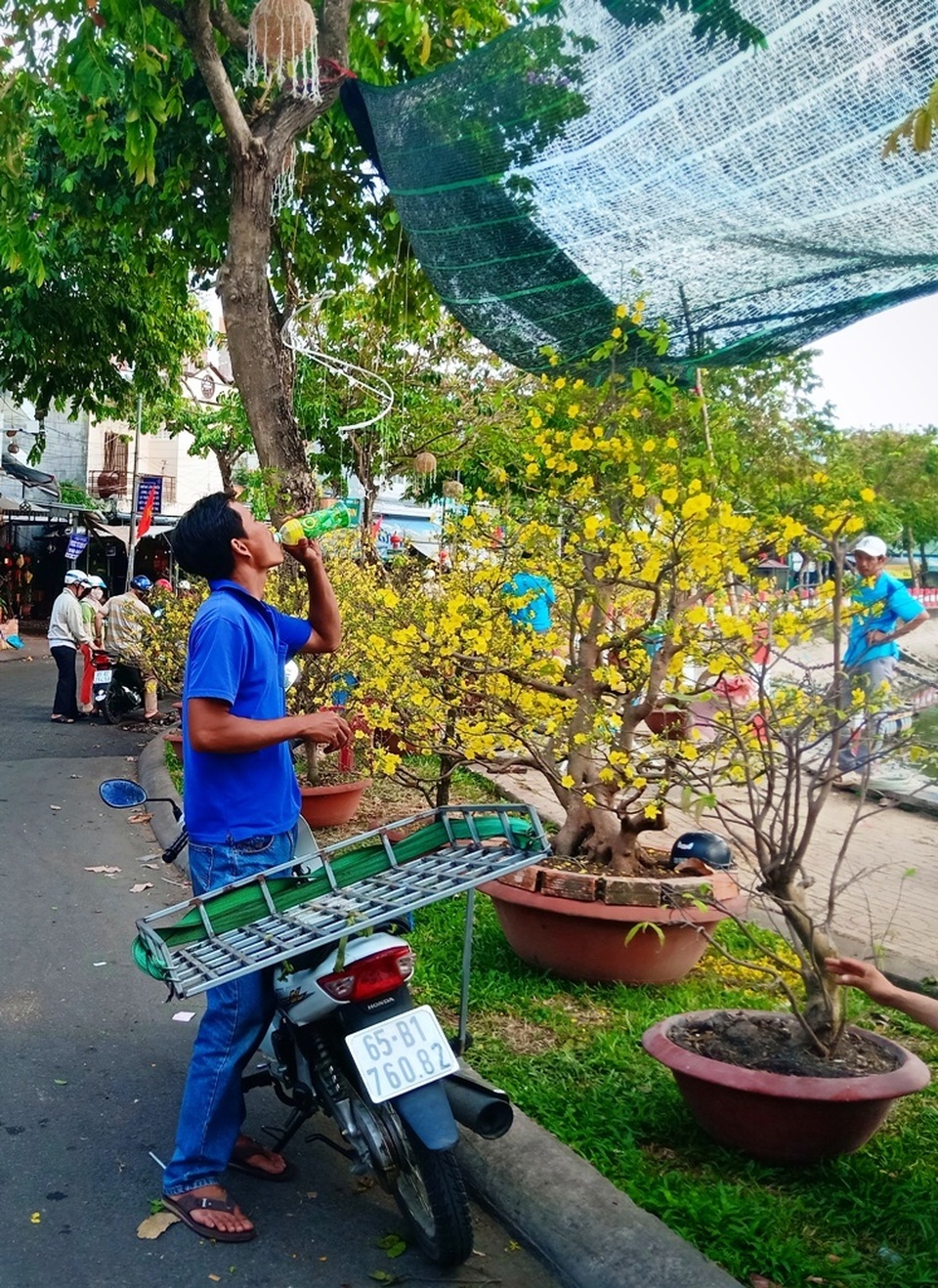 Hoa kiểng Cần Thơ vừa đủ bán, không dư, không phải chặt bỏ - 3 Hoa kiểng Cần Thơ vừa đủ bán, không dư, không phải chặt bỏ - 3