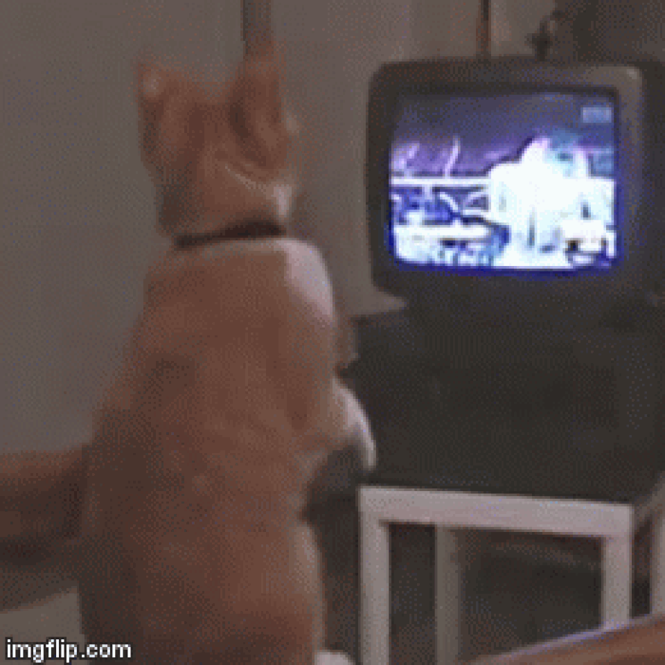 anh-dong-hai-huoc-2.gif anh-dong-hai-huoc-2.gif