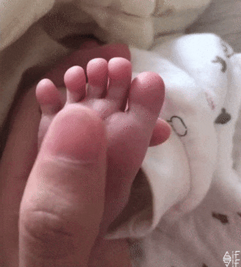 anh-dong-hai-huoc-6.gif anh-dong-hai-huoc-6.gif