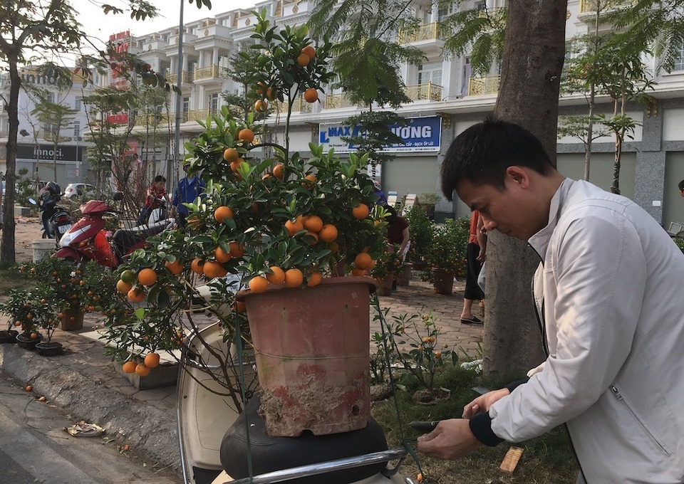 Tấp nập mua đào, quất giá rẻ chiều 30 Tết - 7 Tấp nập mua đào, quất giá rẻ chiều 30 Tết - 7
