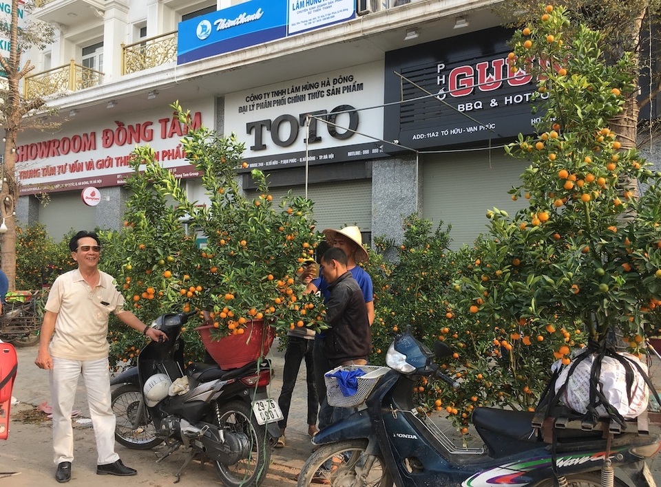 Tấp nập mua đào, quất giá rẻ chiều 30 Tết - 2 Tấp nập mua đào, quất giá rẻ chiều 30 Tết - 2