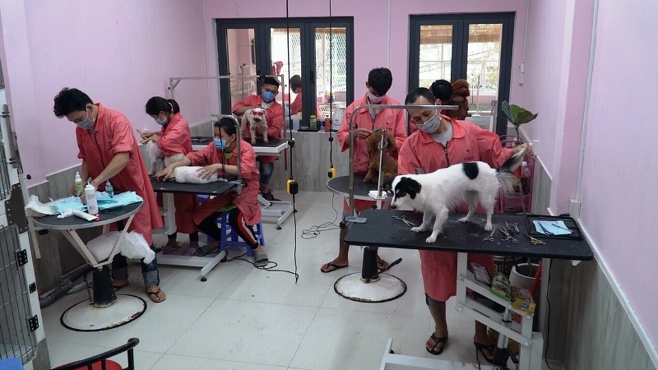 lam dep thu cung 1.JPG lam dep thu cung 1.JPG