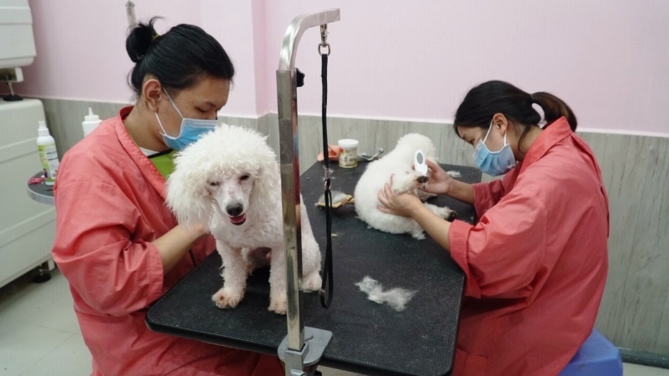 lam dep thu cung 3.JPG lam dep thu cung 3.JPG