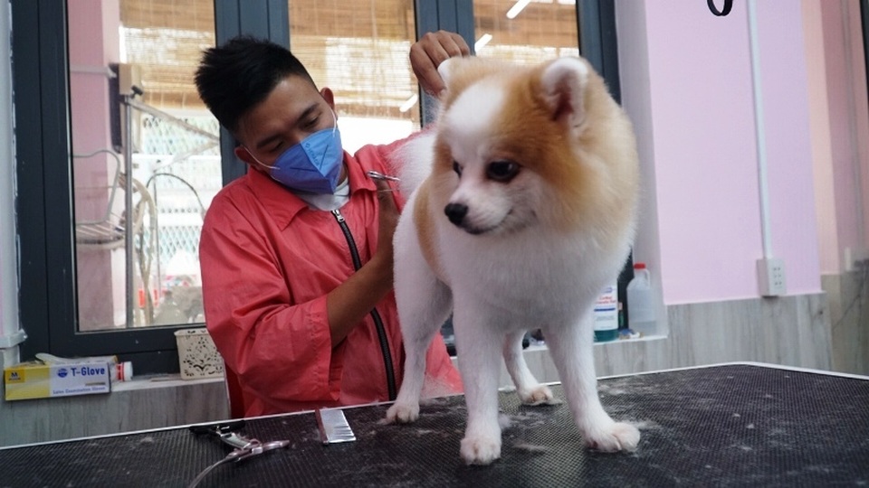 lam dep thu cung 4.JPG lam dep thu cung 4.JPG