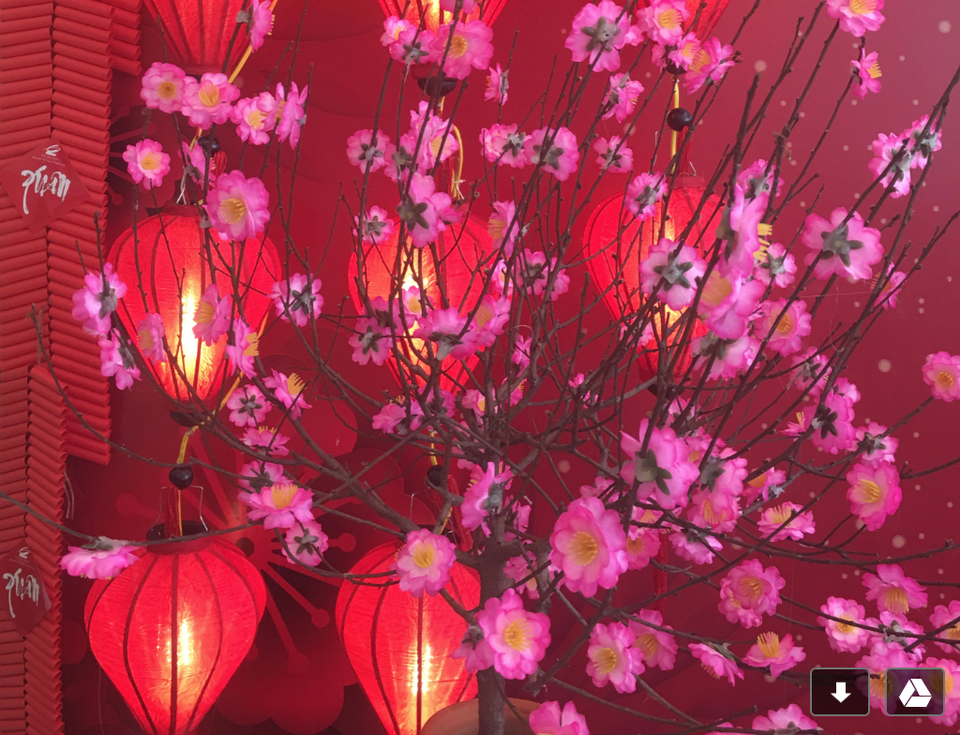 Screen Shot 2019-02-04 at 1.23.36 AM.png Screen Shot 2019-02-04 at 1.23.36 AM.png