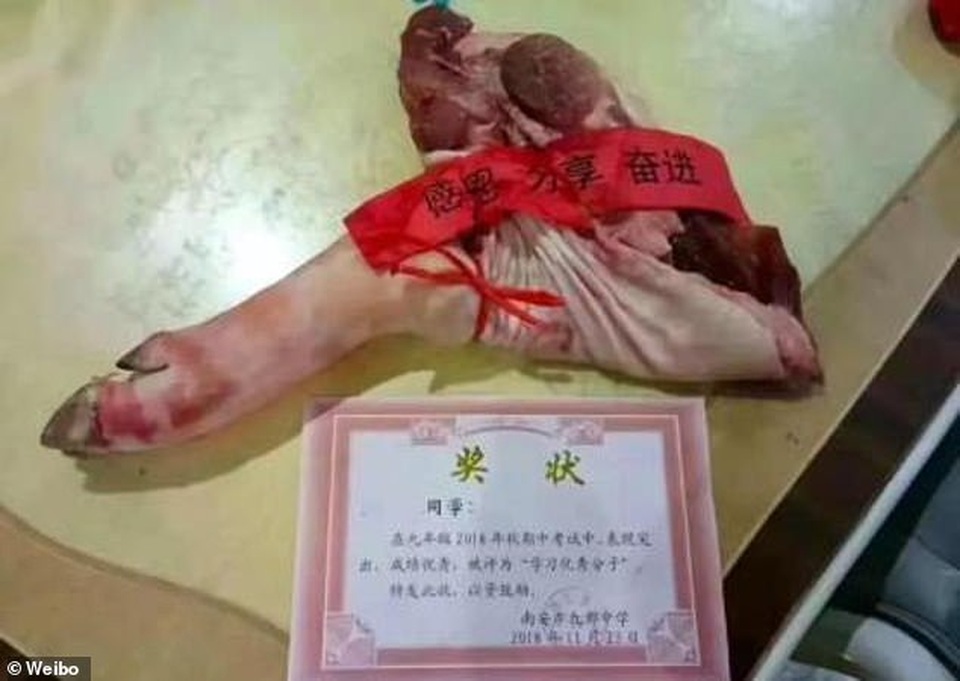 26.jpg 26.jpg