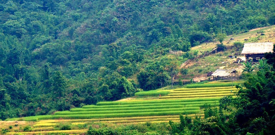 sung-so-truoc-ve-dep-ruong-bac-thang-o-mien-tay-xu-nghe (1).jpg sung-so-truoc-ve-dep-ruong-bac-thang-o-mien-tay-xu-nghe (1).jpg