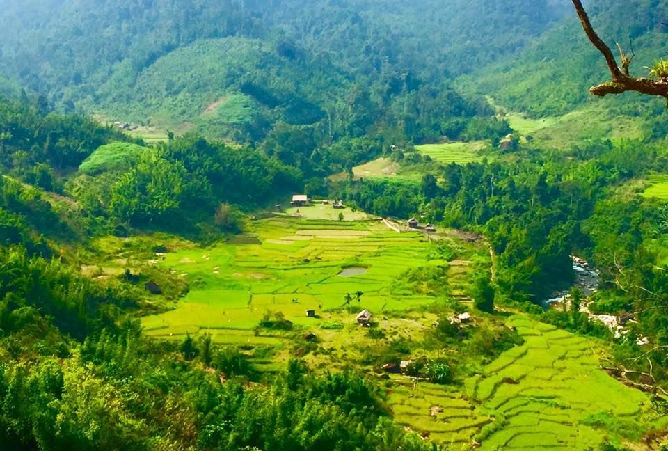 sung-so-truoc-ve-dep-ruong-bac-thang-o-mien-tay-xu-nghe.jpg sung-so-truoc-ve-dep-ruong-bac-thang-o-mien-tay-xu-nghe.jpg