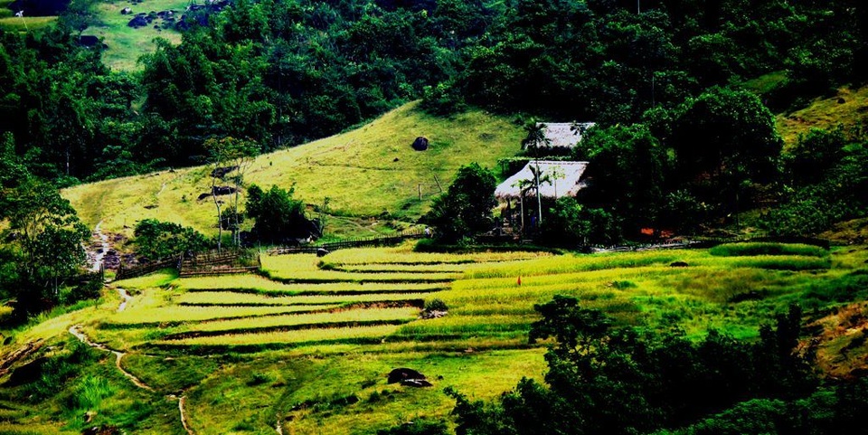 sung-so-truoc-ve-dep-ruong-bac-thang-o-mien-tay-xu-nghe (2).JPG sung-so-truoc-ve-dep-ruong-bac-thang-o-mien-tay-xu-nghe (2).JPG