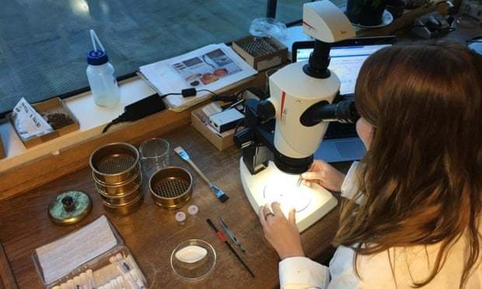 Tìm thấy bằng chứng về “bia Anh đầu tiên” ở Cambridgeshire - 1 Tìm thấy bằng chứng về “bia Anh đầu tiên” ở Cambridgeshire - 1