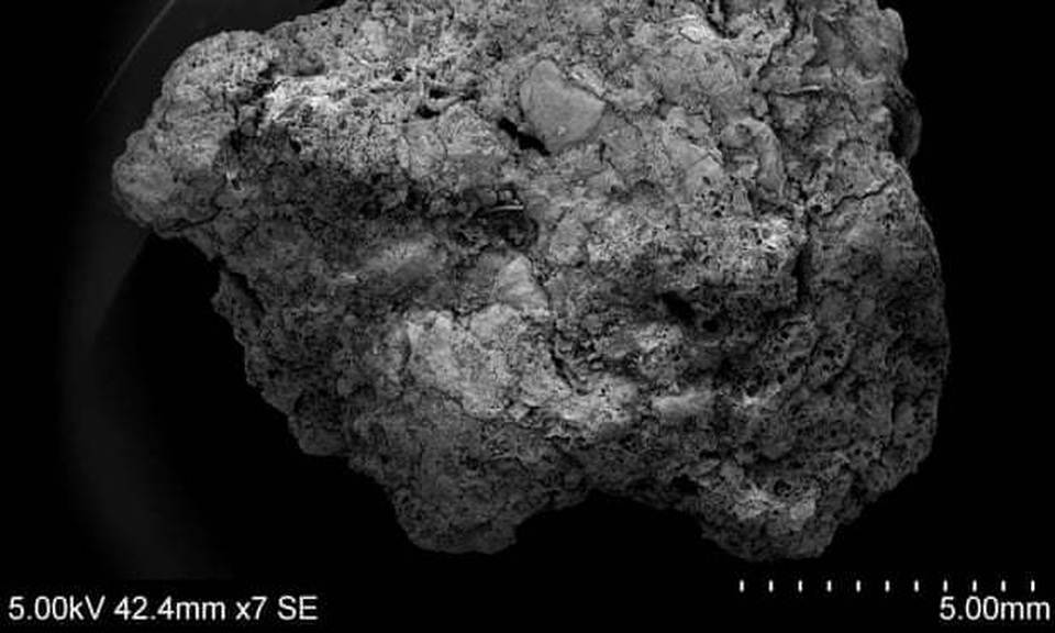 Tìm thấy bằng chứng về “bia Anh đầu tiên” ở Cambridgeshire - 2 Tìm thấy bằng chứng về “bia Anh đầu tiên” ở Cambridgeshire - 2