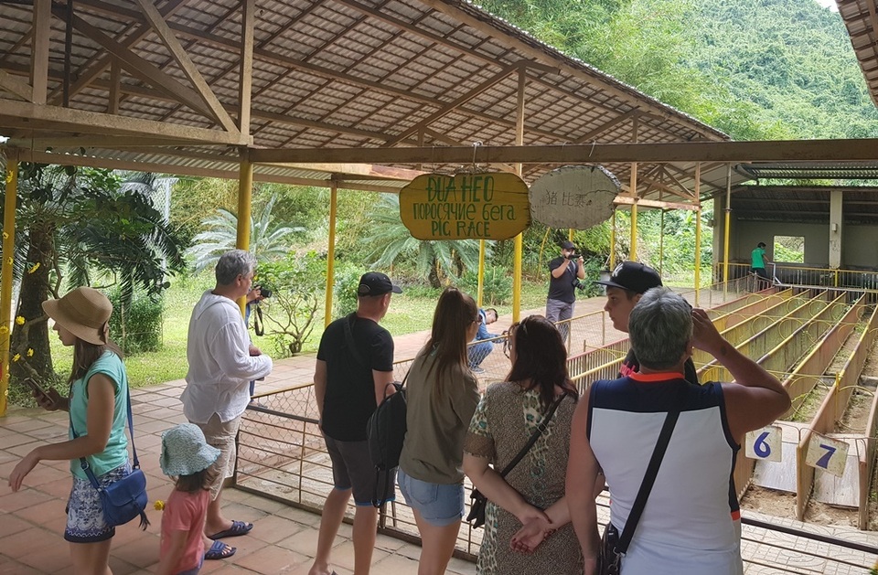 Mùng 2 Tết, cười bể bụng với bầy heo đua - 2 Mùng 2 Tết, cười bể bụng với bầy heo đua - 2