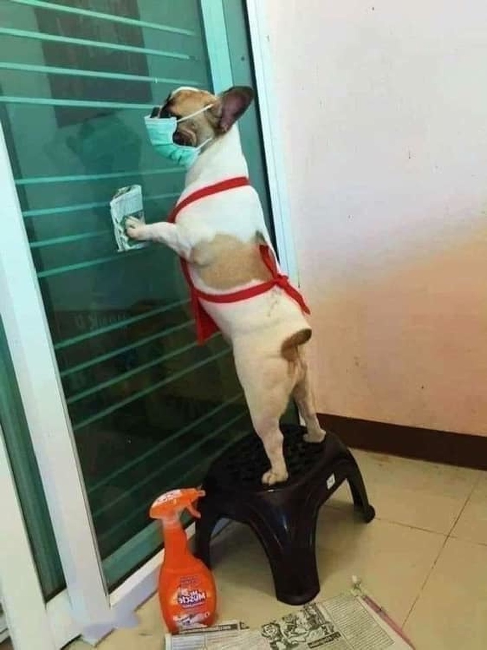 Dân mạng chế ảnh hài hước thể hiện góc nhìn đa chiều về Tết - 2 Dân mạng chế ảnh hài hước thể hiện góc nhìn đa chiều về Tết - 2