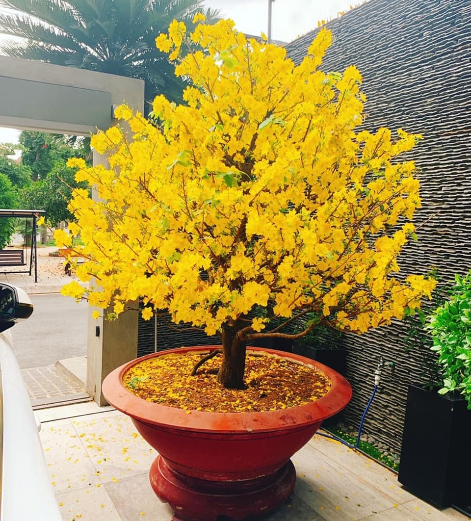 Diep-Bao-Ngoc (6).jpg Diep-Bao-Ngoc (6).jpg