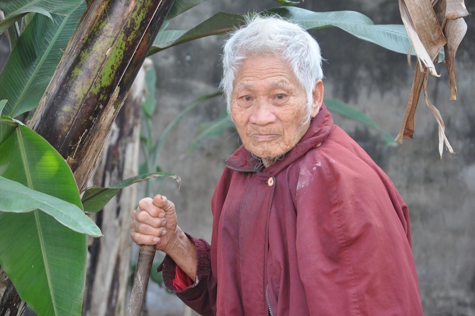 Nghẹn đắng cảnh cha già chống gậy đi tìm con trong bụi chuối - 4 Nghẹn đắng cảnh cha già chống gậy đi tìm con trong bụi chuối - 4