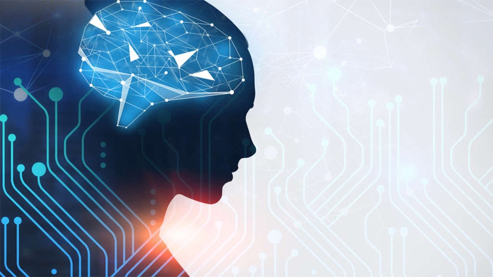 Bộ não nữ giới thường “trẻ” hơn so với nam giới - 1 Bộ não nữ giới thường “trẻ” hơn so với nam giới - 1