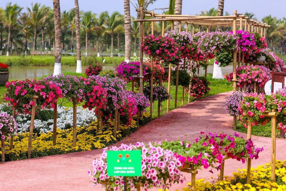 Người Hà Nội đổ xô đến Ecopark ngắm thiên nga, chèo thuyền Kayak - 6 Người Hà Nội đổ xô đến Ecopark ngắm thiên nga, chèo thuyền Kayak - 6